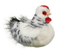 Douglas Cuddle Salty Black and White Hen 9 inch plush stuffed animal toy #1792
