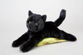 Douglas Cuddle Tug Black Cat 15" Plush Stuffed Animal Toy #4507