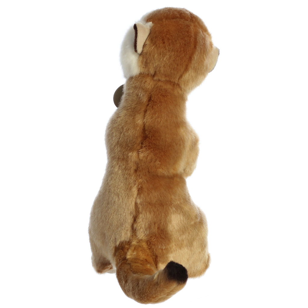 Aurora Miyoni Meerkat 10 inch Plush Stuffed Animal Toy
