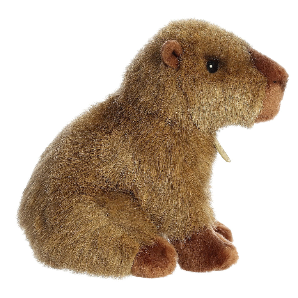Aurora Miyoni Capybara 9 inch Plush Stuffed Animal Toy