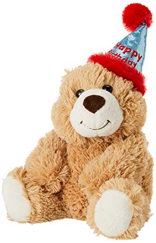 Aurora Sentiment Bear - 12" Happy Birthday # 01704 Plush Stuffed Animal Toy