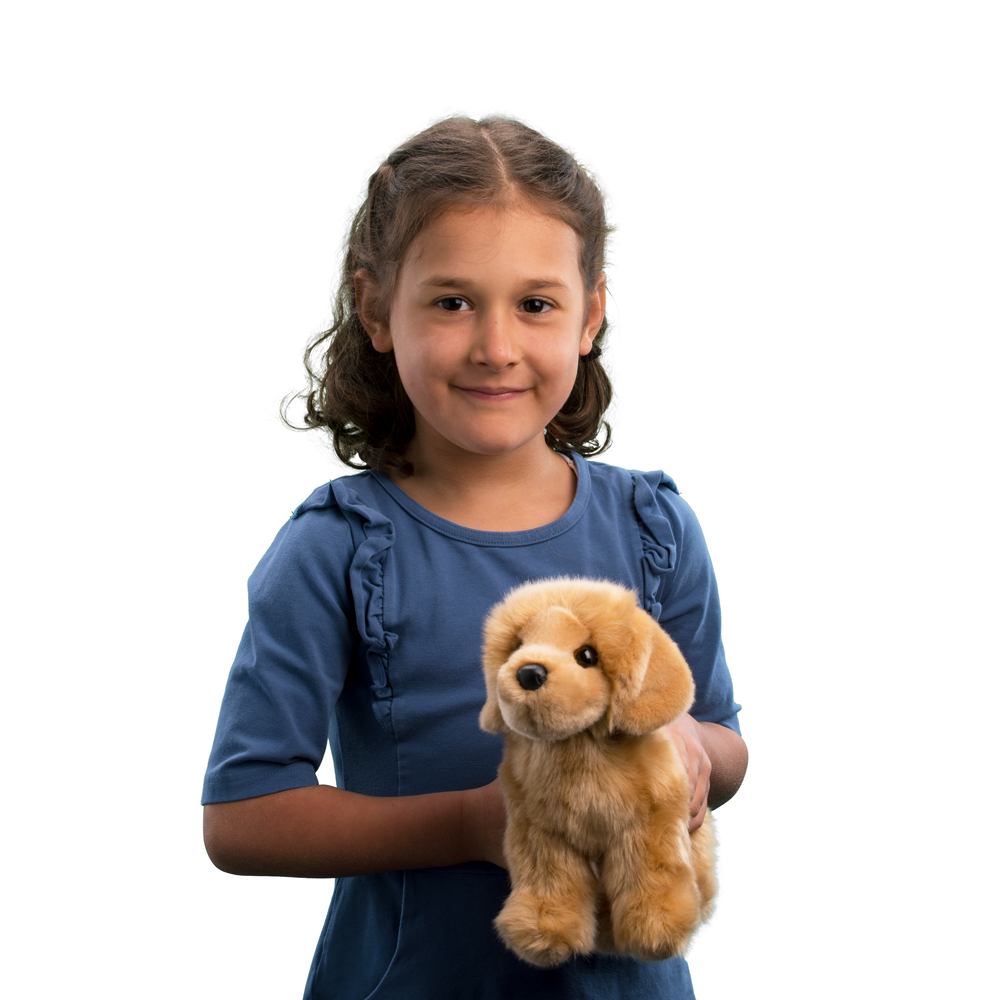 Douglas Cuddle Chap Golden Retriever 10" Plush Stuffed Animal Toy #1724