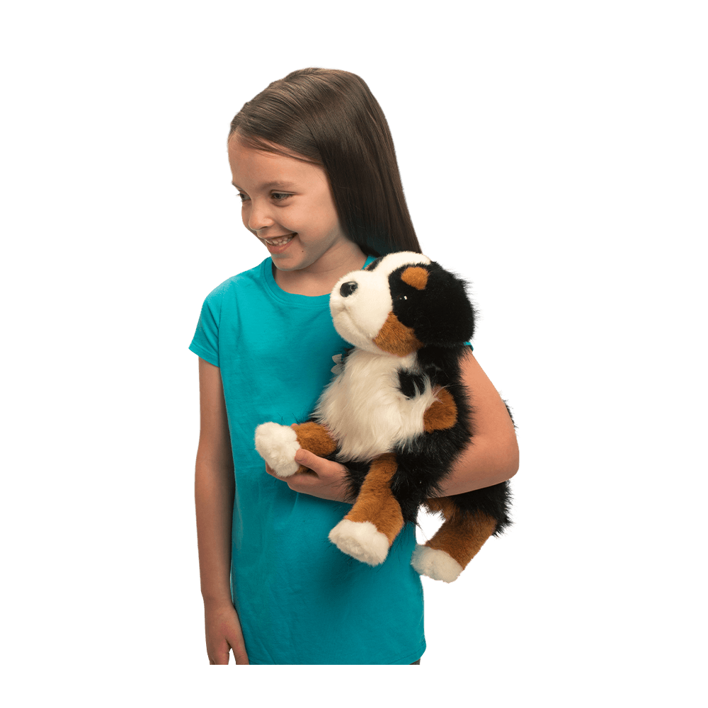 Douglas Cuddle Trevor Bernese Mountain Dog 16" Plush Stuffed Animal Toy #2025